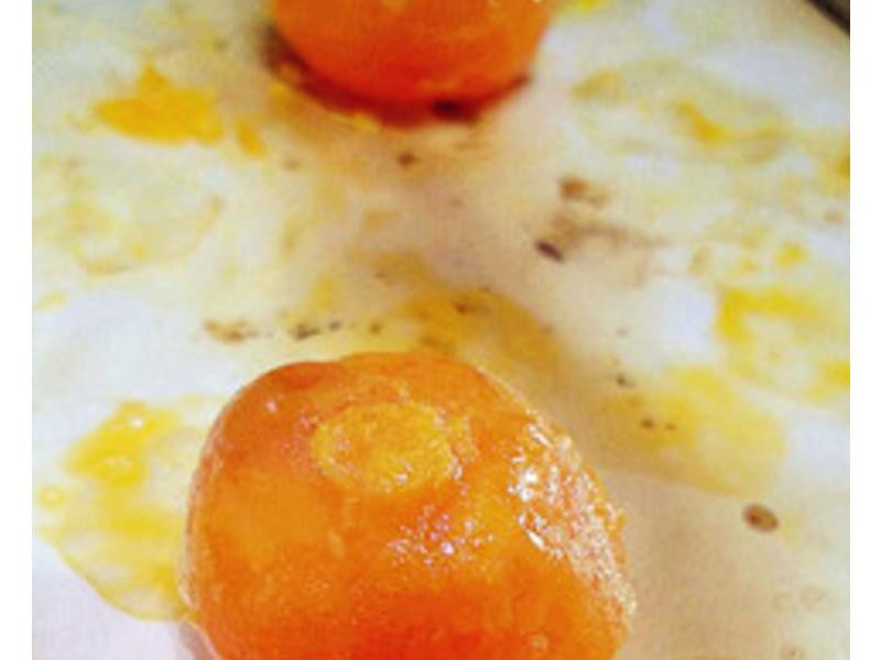 ��ʽ�̻��±�������