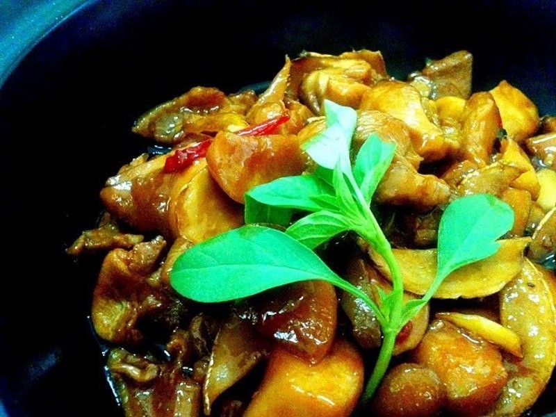 �ӱ�������������