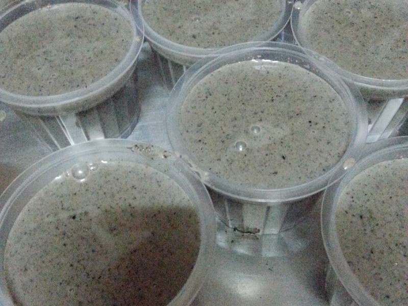 ��֥�鶹������������