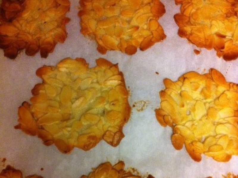 ���ʴ�Ƭ������