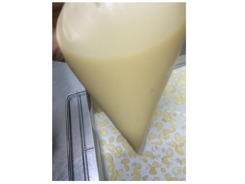 ��������������Ƭ������