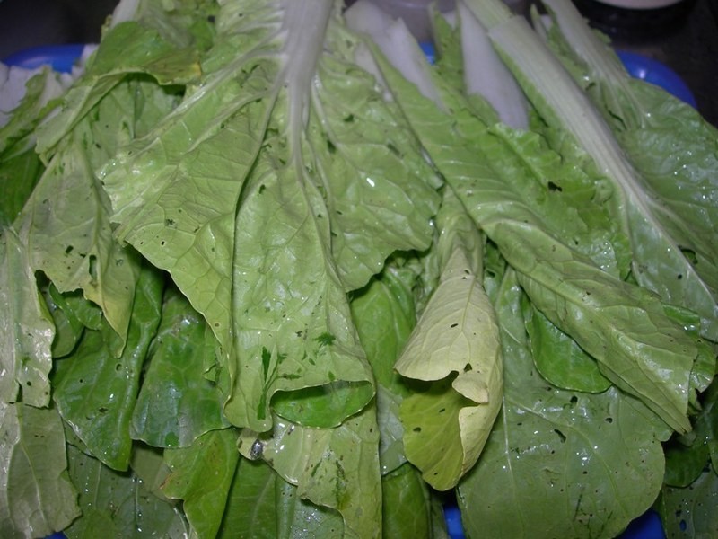 �������аײ�ˮ�ȵ�����