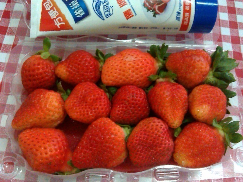 ��ݮ��ʿ����-�⿾�������