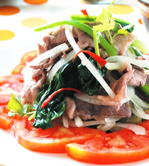 ̩ʽ��������Ƭ������