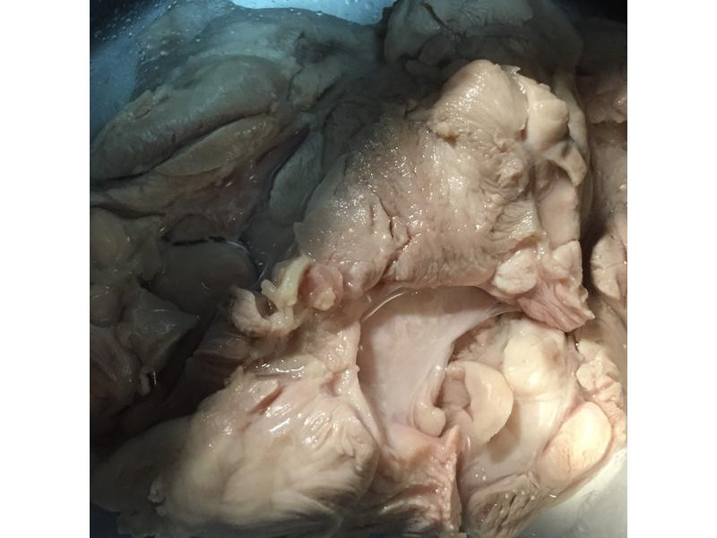 �Ϲ���Ϻ��������������