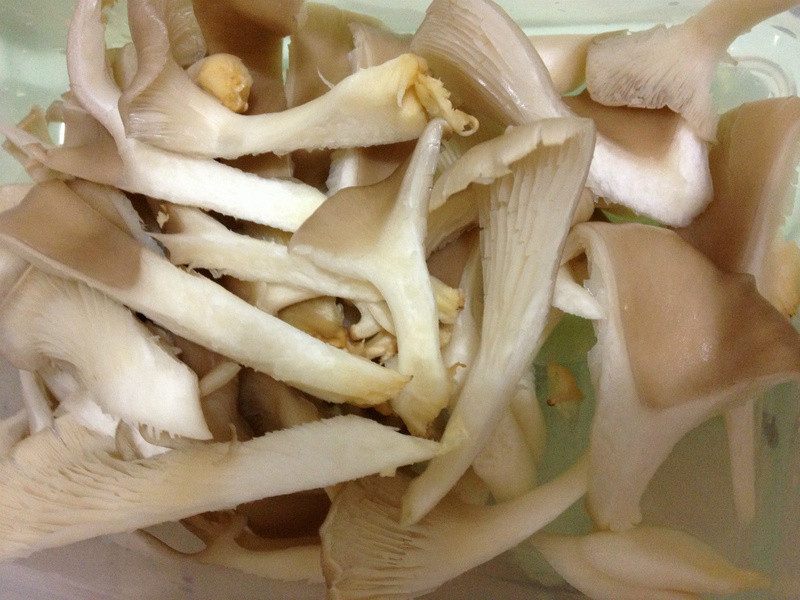 [С�װ����� ] �������㹽������