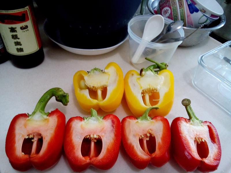 ̩����������ʽ�������