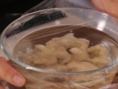 ̩ʽ�޹Ƿ�צ������