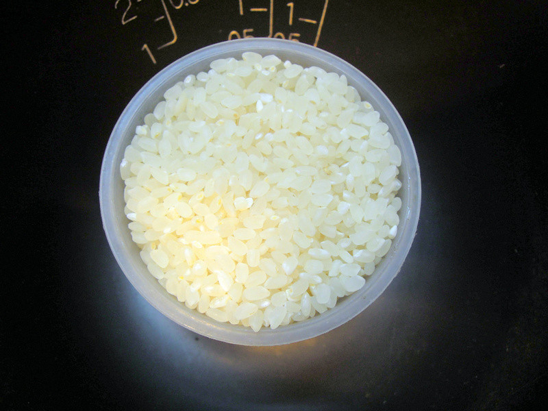 ���ⷹ��������