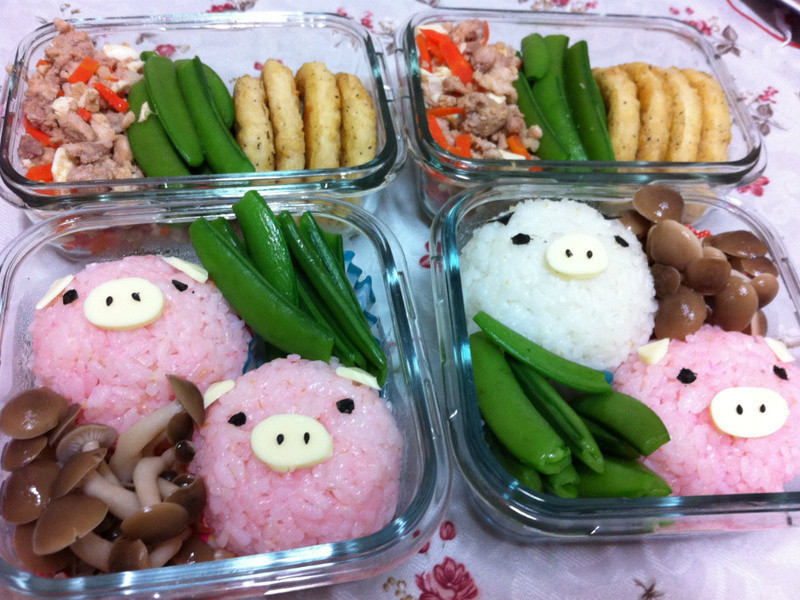 ����è~�Ҹ��㵱(�ۺ�С��)������