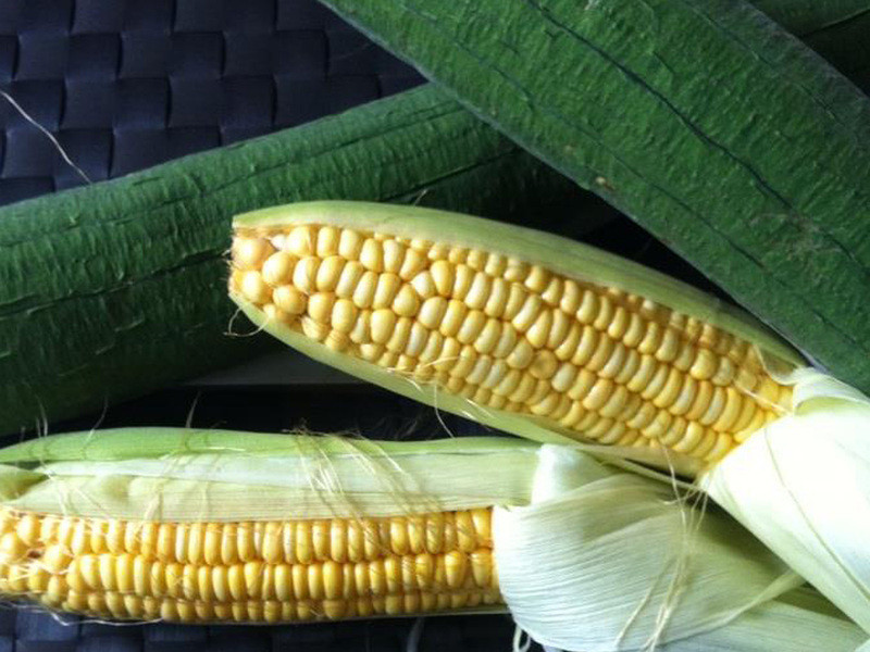 ˿��Ϻ�����������