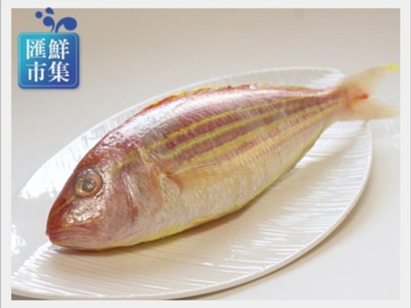 ��֭���߽����������