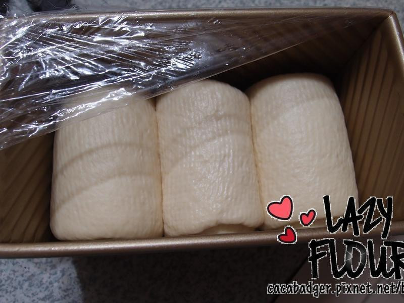 ����-����������˾������