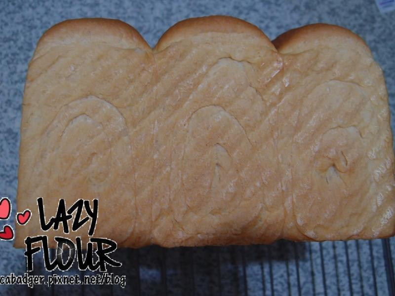 ����-����������˾������