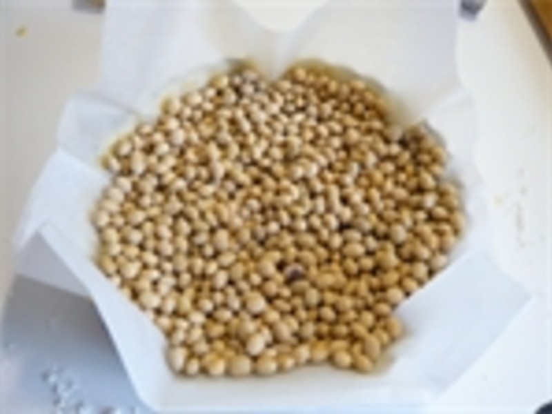 ������ݿ�ʿ���ݮ��~Daisy���������