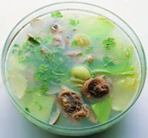 ���۽�˼���������