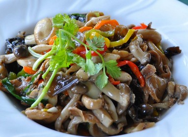 ����ľ��ɳ��������