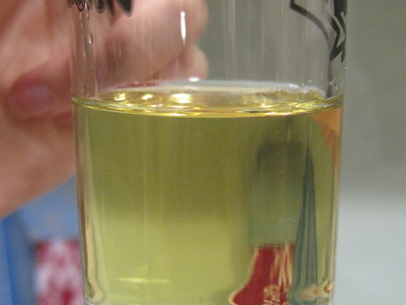 ��ݮ�������������ĵ��ġ�������