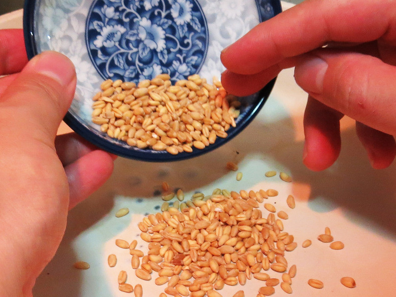 ����ʧ��-����ҩ�� ���������������