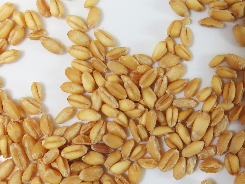 ����ʧ��-����ҩ�� ���������������