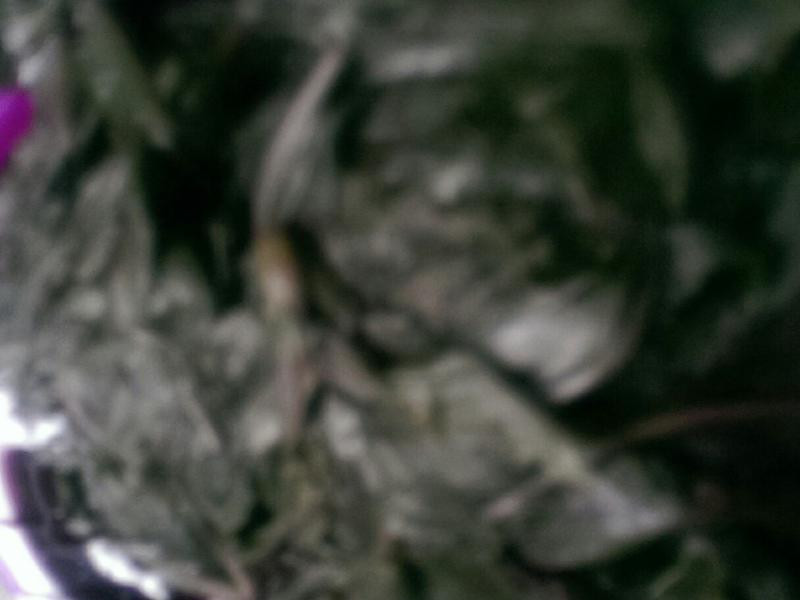 ������ɳ�������