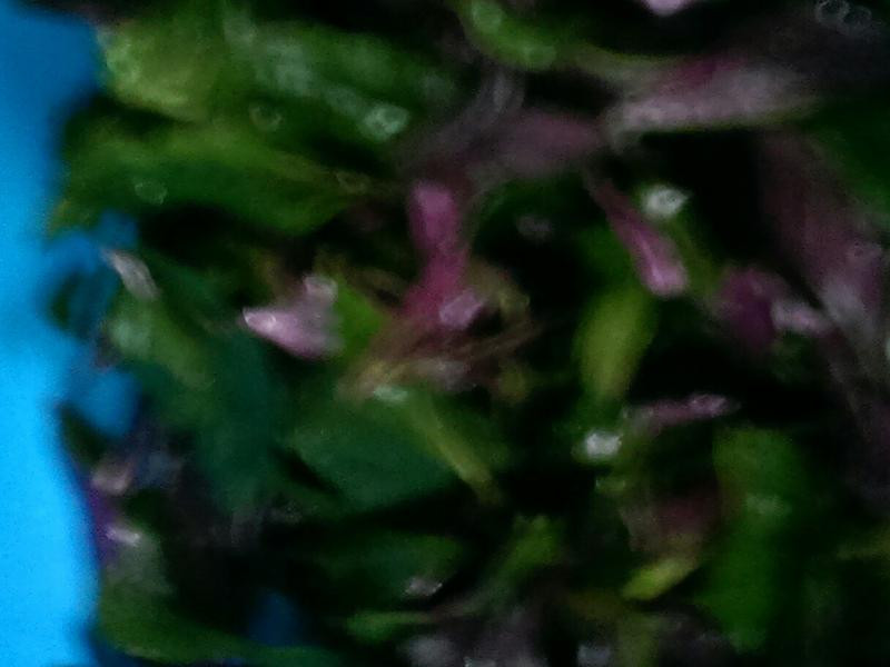 ������ɳ�������