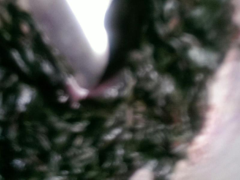 ������ɳ�������