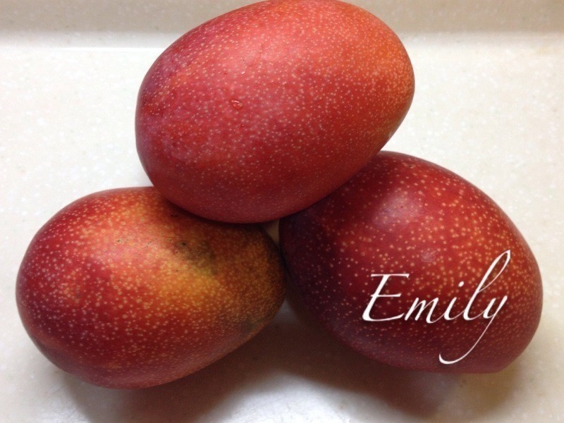 â��������Ľ˹���������