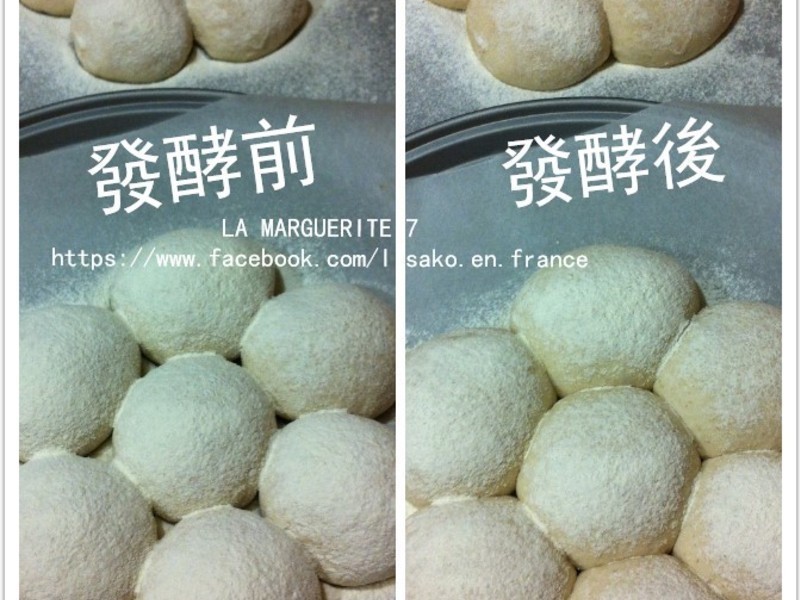 ����������ػ������������