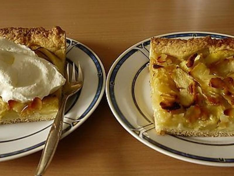 ����ƻ�����������