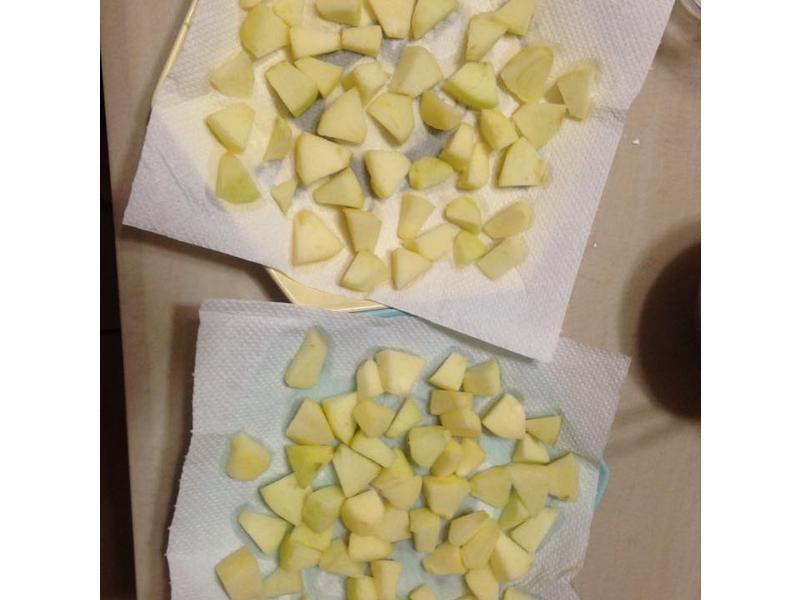 ƻ��������ɳ��~~������