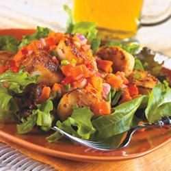 ���ȱ�ľ�Ͻ�������