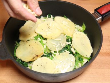 �������п�����������