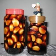 �Ǵ����������