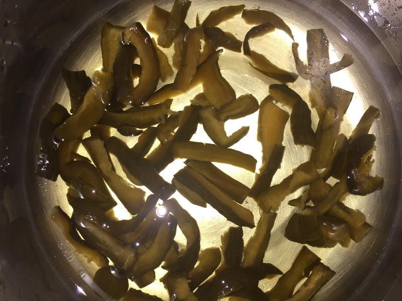 ���տ�ϵ�����