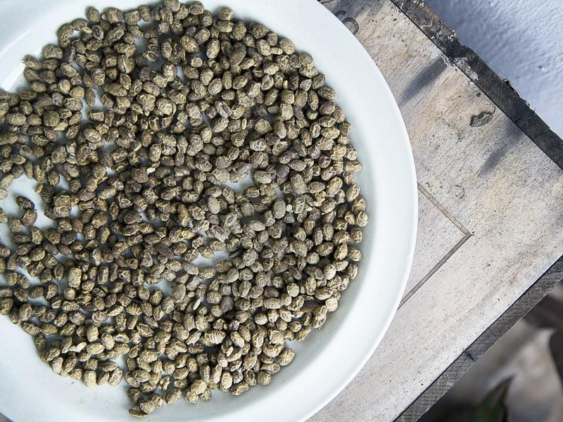 ��ζ����������