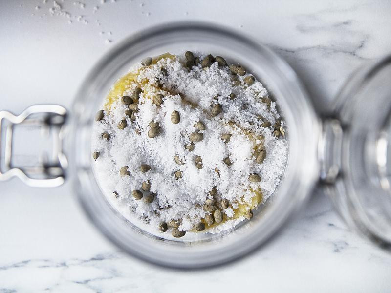 ��ζ����������