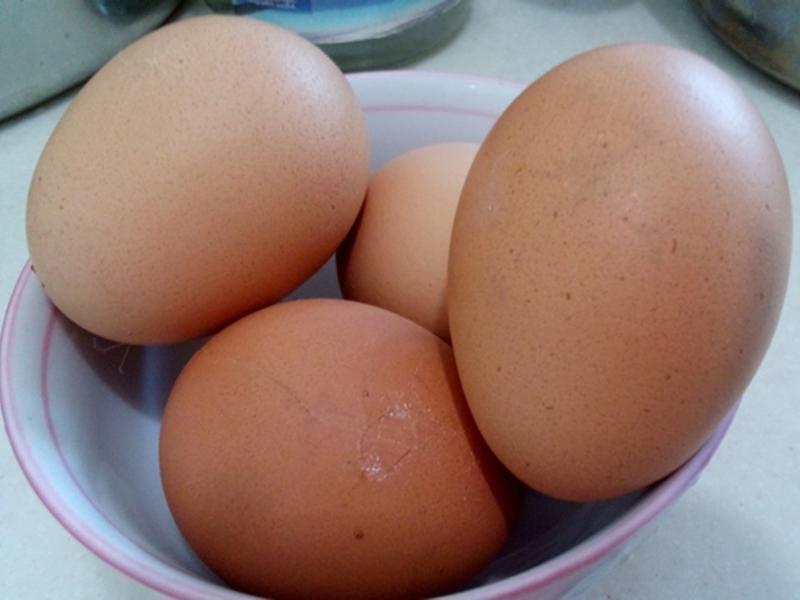 ײ�� ���� ���󲻱�������