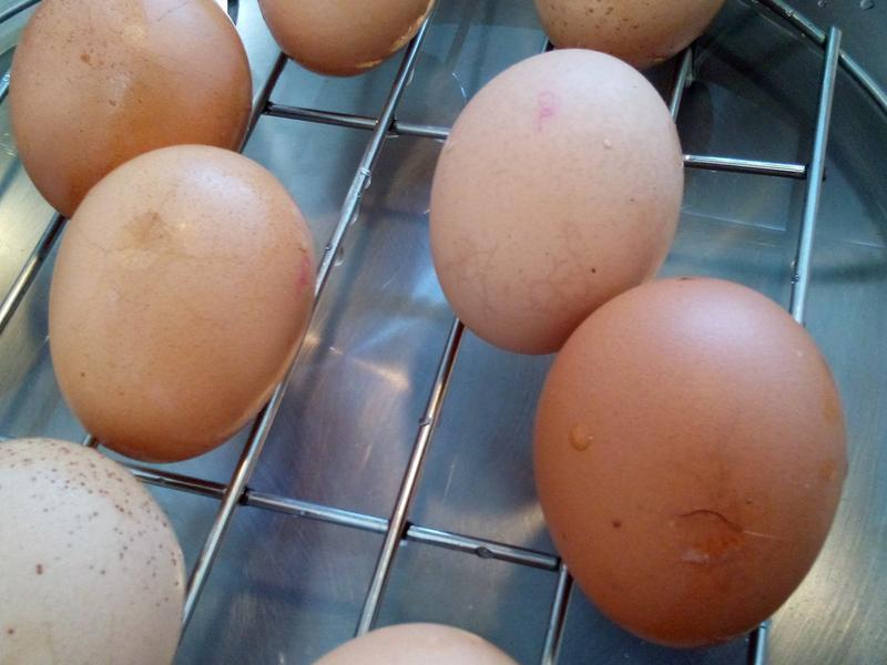 ײ�� ���� ���󲻱�������