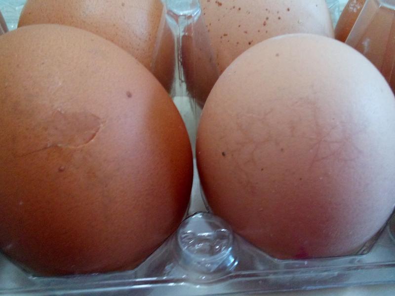 ײ�� ���� ���󲻱�������