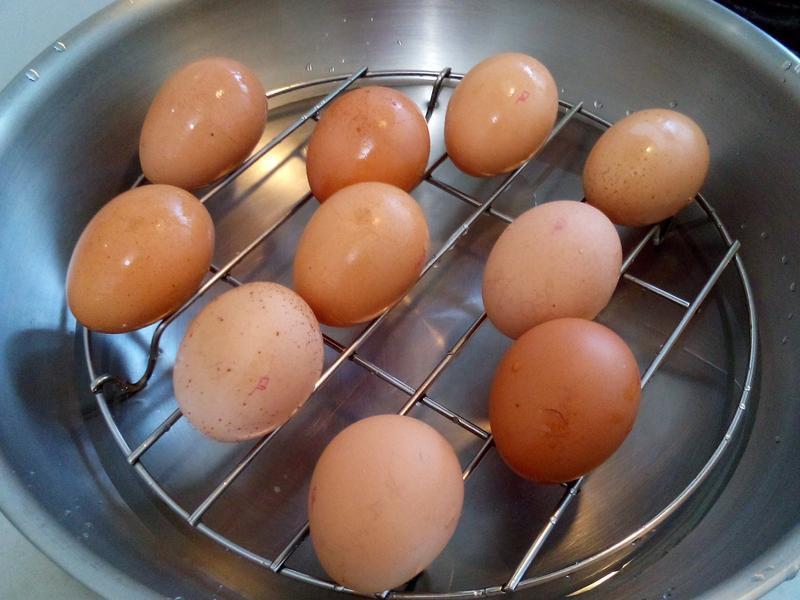 ײ�� ���� ���󲻱�������