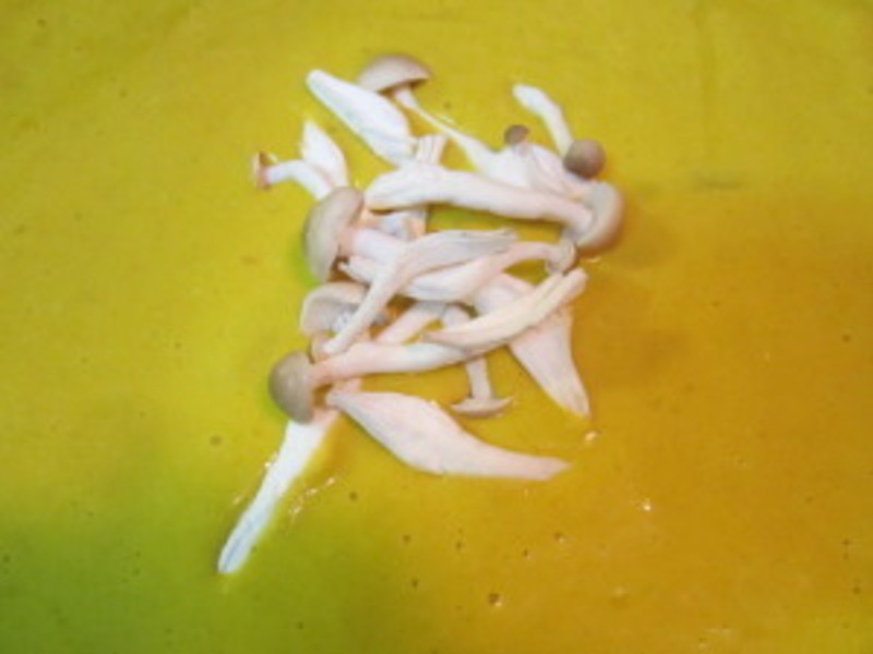 Ҭ���Ϲ�Ũ��������