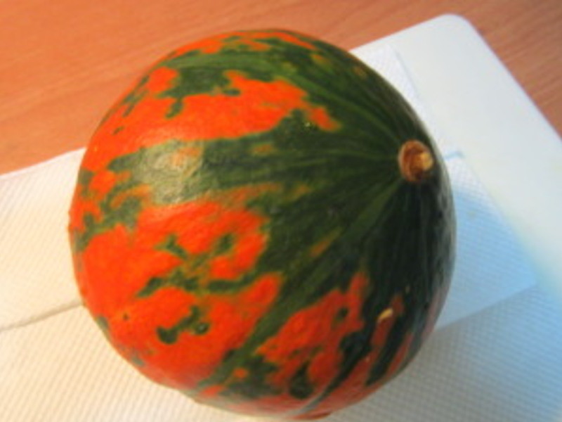 Ҭ���Ϲ�Ũ��������