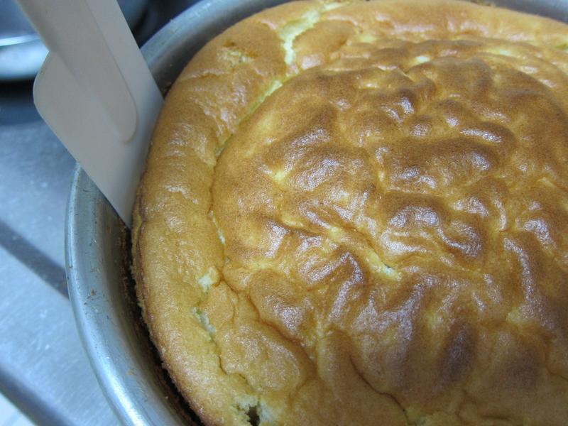 ���ӳ���-��ͷ�ݷ絰�������