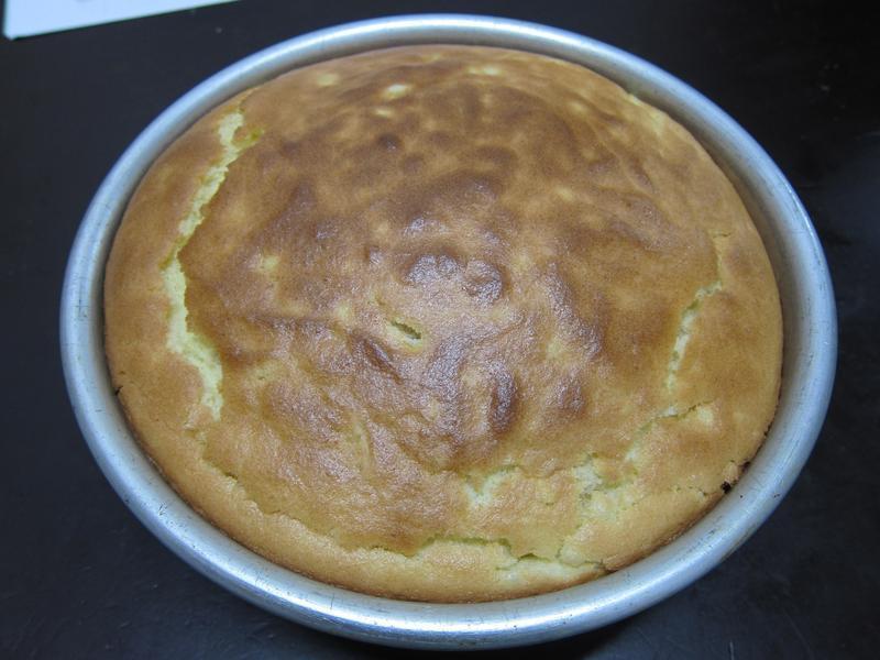 ���ӳ���-��ͷ�ݷ絰�������