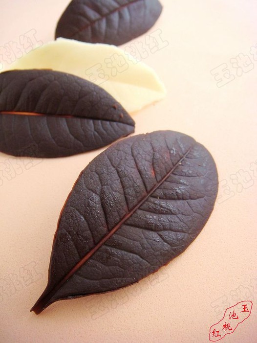 �ɿ�����Ҷ������