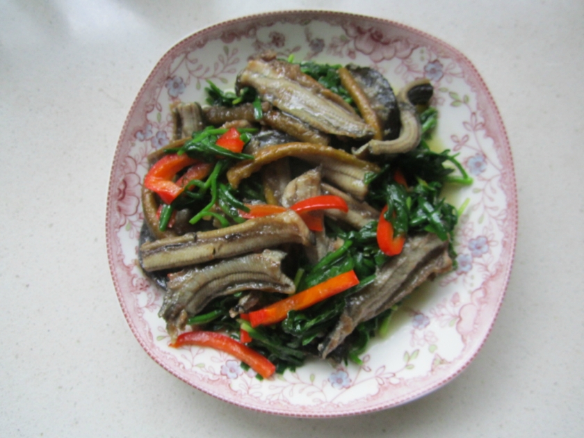 �²����������