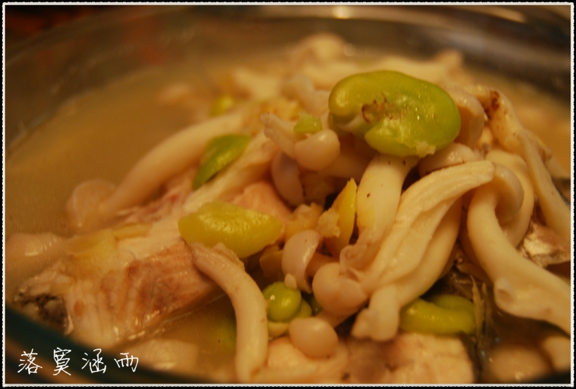 �϶��ʹ�������������