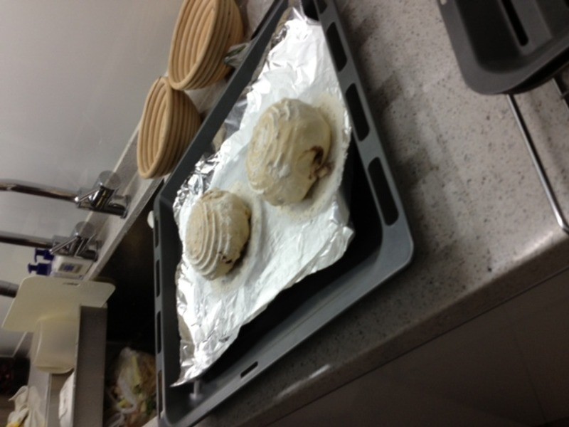 �����Բ�������������