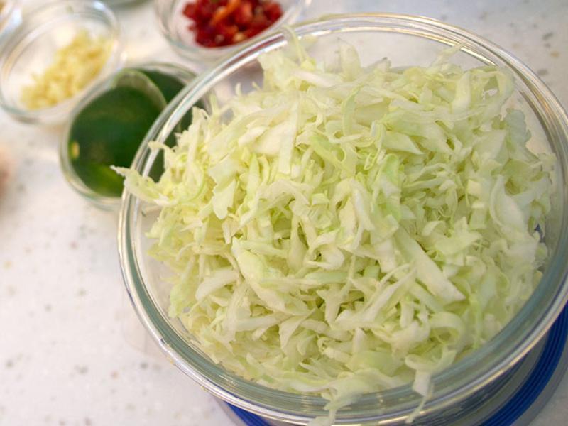 ����������ʯ��(���տ�θ��)��������ʦ��������